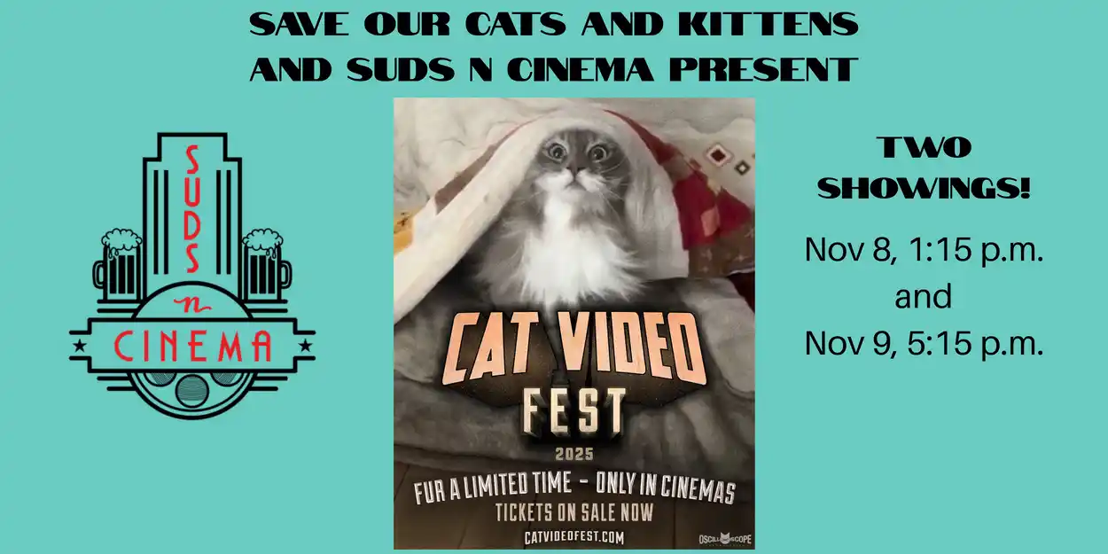 Cat Video Fest 2025 Nov 8 and Nov 9 @ Suds N Cinema in FWB