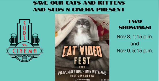 Cat Video Fest 2025 – Presented by SOCKS