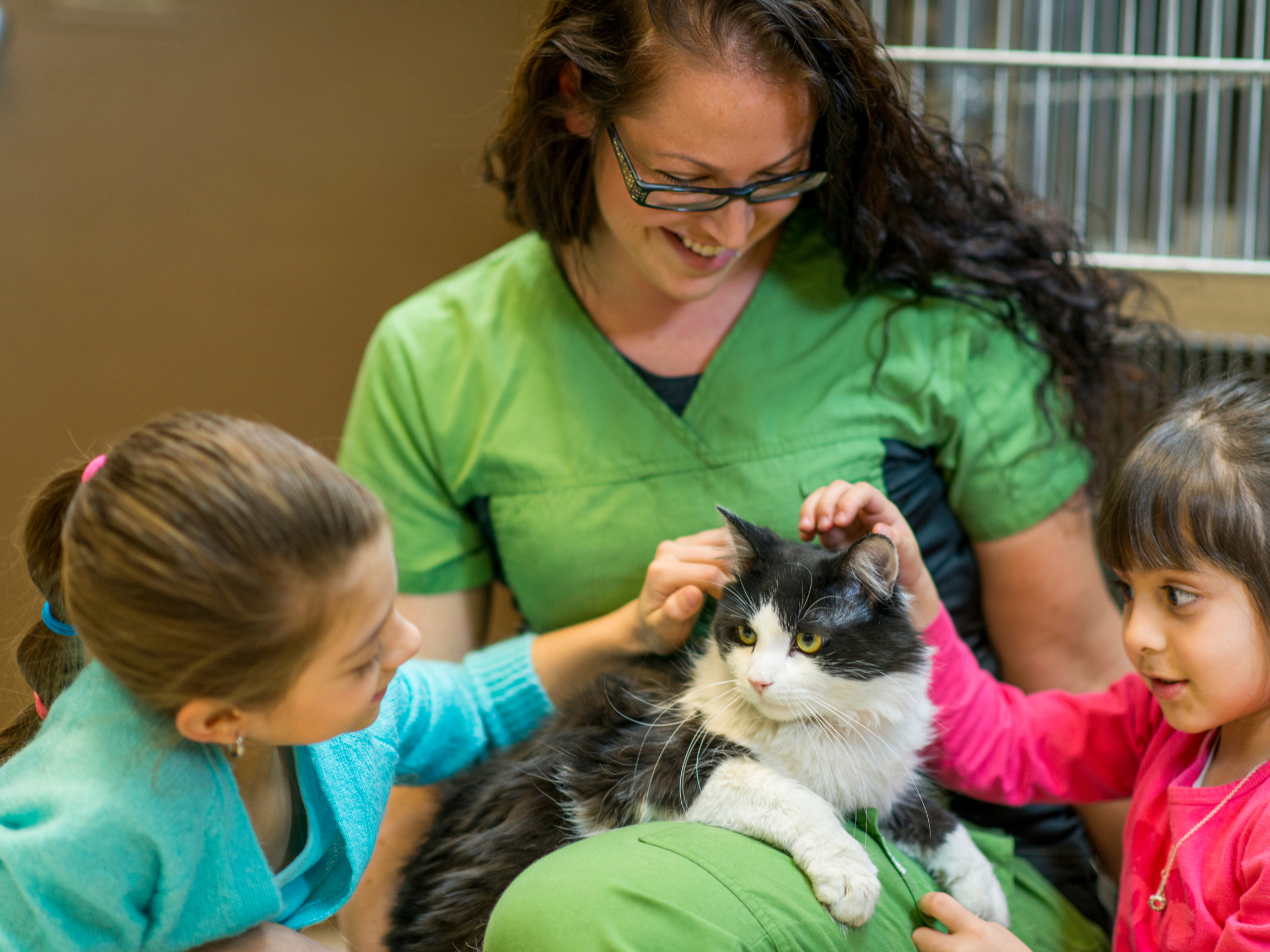 Special Adoption Event, September 20th, 2025