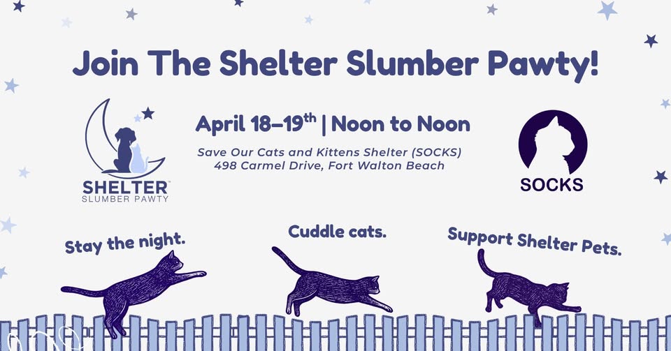 SOCKS Shelter Slumber Pawty