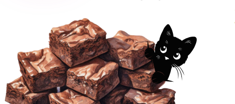 cat with brownies