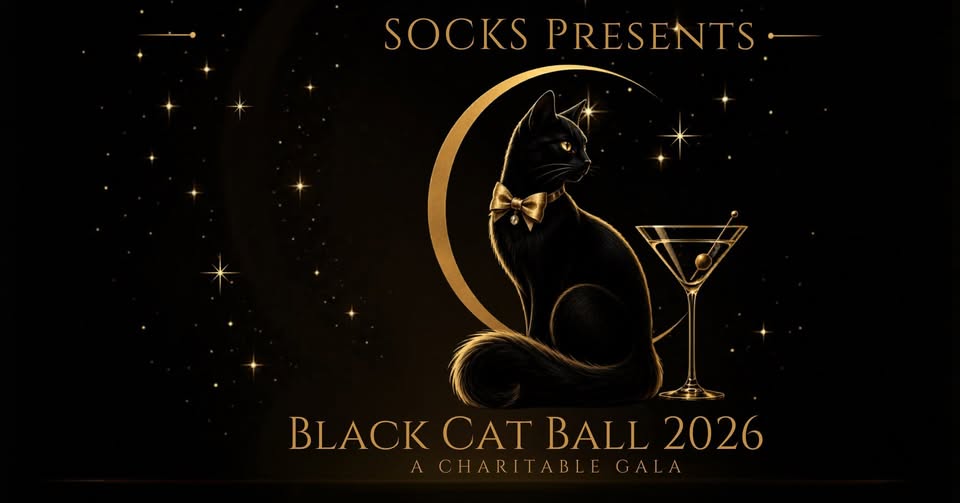 2026 Black Cat Ball