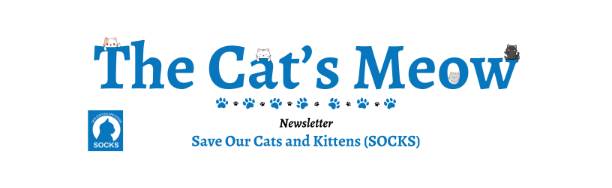 SOCKS Newsletters
