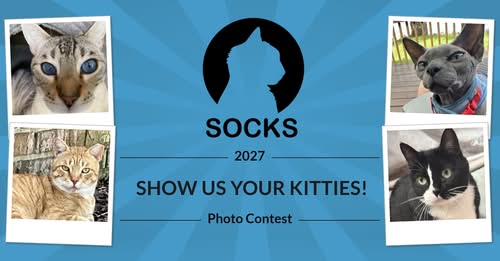 SOCKS Show Us Your Kitties