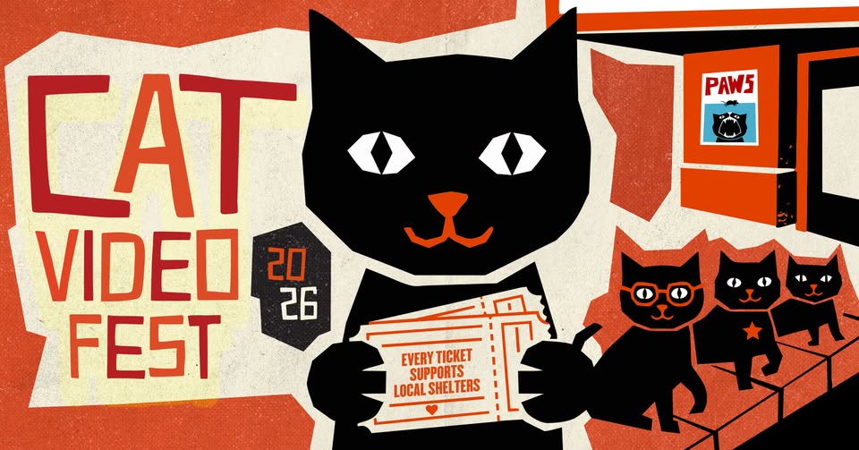 Cat Video Fest
