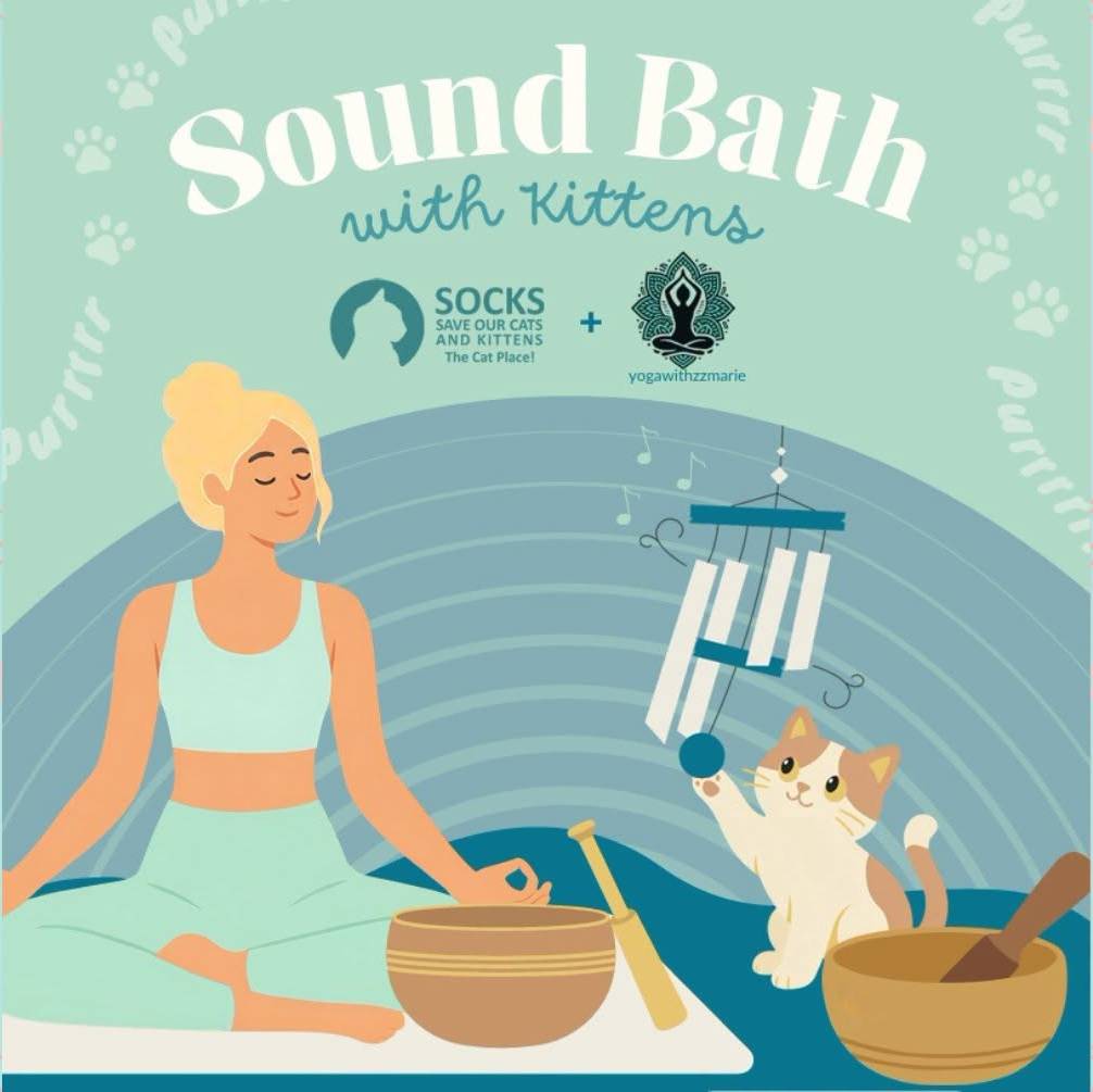 Sound Bath with Kittens Sound Bath with Kittens