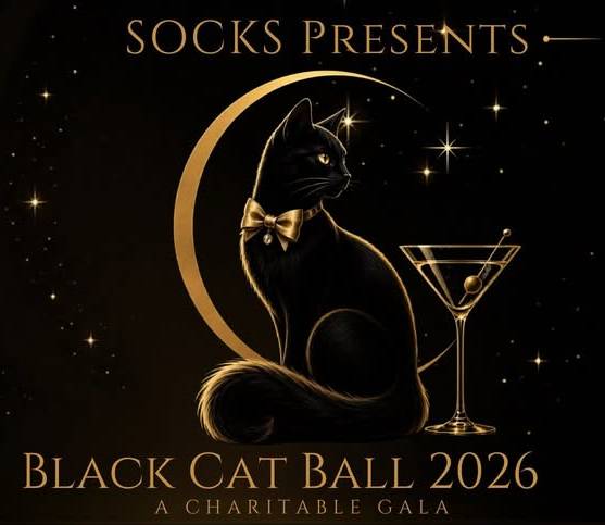 Black Cat Ball 2026 Black Cat Ball 2026